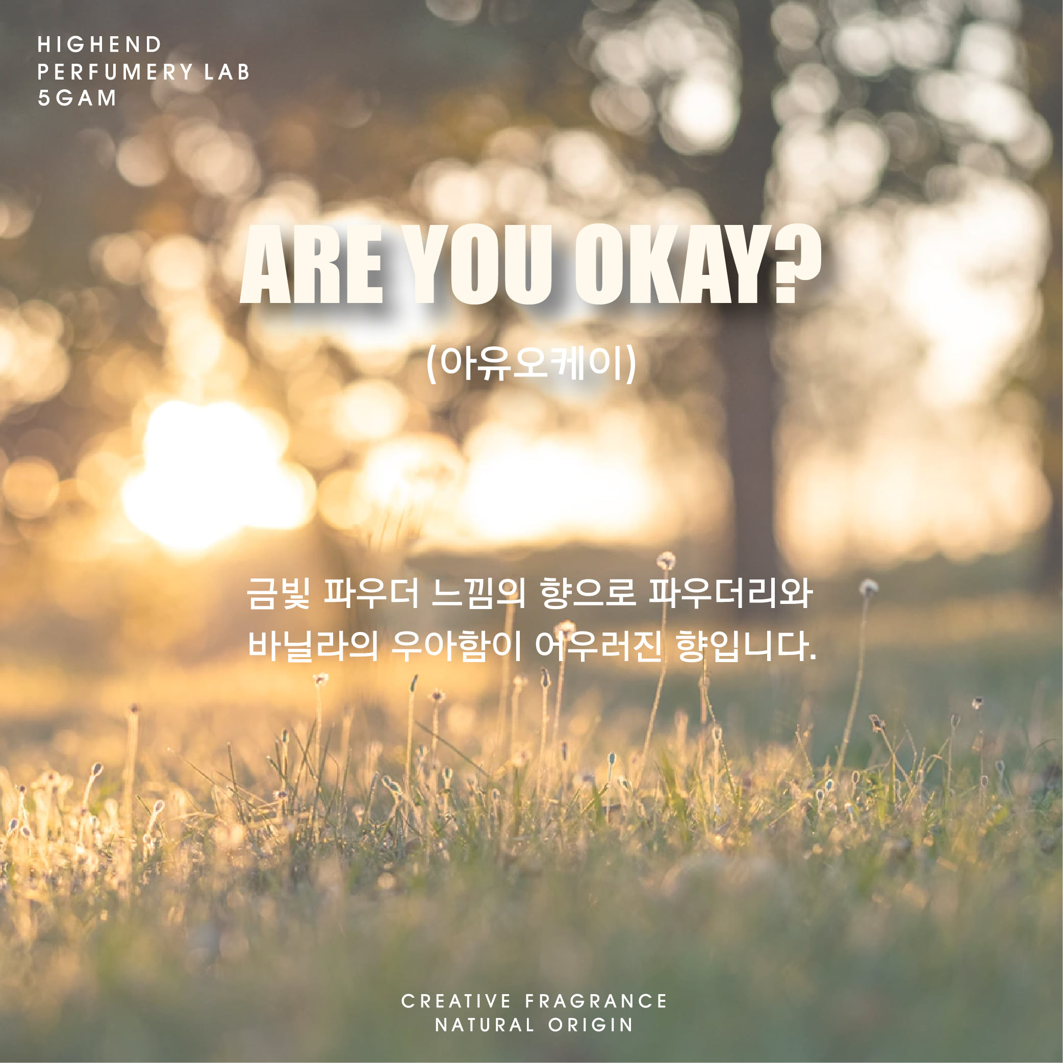 드레스퍼퓸 - Are you okay?